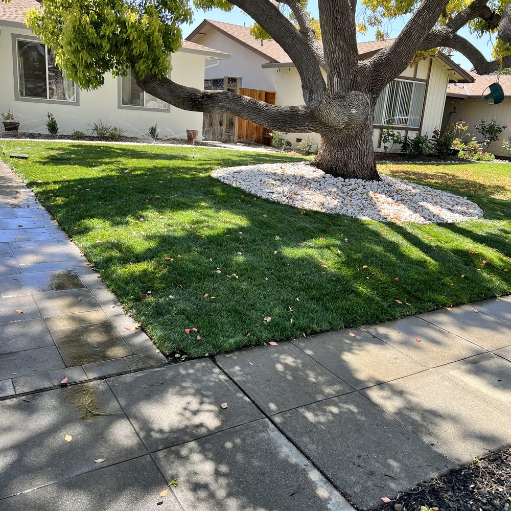 Landscaping Services